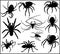 Vector Spider Silhouette Collection illustratioin