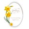 Vector spring floral banner with yellow daffodils, copy space included. Isolated on white backgorund