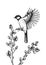 Vector spring sketch. Flying great tit and blooming willow branches illustration. Hand drawn wildlife design in engraved style.