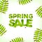 Vector spring square background, green yellow leaves and the inscription Summer Sale, made from green leaves