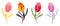 Vector spring or summer flowers Flat tulips set multicolored