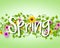 Vector Spring Text Design with Colorful Realistic Elements