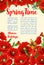 Vector springtime poster of poppy flowers bunch