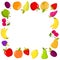 Vector square banner with fruits