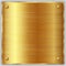 Vector square gold metallic plate with screws