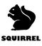 Vector Squirrel Icon