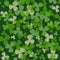 Vector St Patrick\'s day seamless pattern. Green and white clover leaves on dark background.