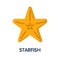 Vector starfish flat icon style
