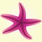 Vector Starfishes Pink Color Illustration