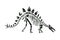 Vector stegosaurus dinosaur skeleton in black color.