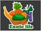 Vector sticker - fruit basket - exotic life