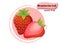 Vector Strawberries fruit isolated on color background,illustrator 10 eps