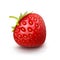 Vector Strawberry Isolated