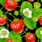 Vector strawberry seamless pattern on white backgr