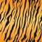 Vector stripe animals jungle tiger fur texture pattern seamless repeating yellow orange black