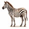 Vector Style Zebra Cook On Hind Legs - High Resolution