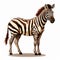 Vector Style Zebra Cook On Hind Legs - High Resolution Illustration