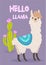 Vector stylish cartoon lama with ornament design and cactus. Hello llama poster.