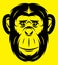 Vector stylish template sport emblem with black monkey
