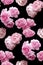 Vector stylized bouquet of pink roses on the black background