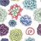 Vector succulents seamless pattern. Succulent ornament.