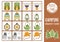 Vector summer camp memory game cards with cute smiling kawaii equipment. Camping matching activity. Remember and find correct card