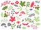 Vector Summer Forest Set with Strawberries, Mushrooms, Leaves and Flowers