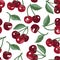 Vector summer pattern with sweet cherries, flowers and leaves. Seamless texture design.