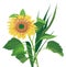 Vector Sunflower