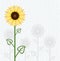 vector sunflower floral background