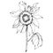 Vector Sunflower floral botanical flower. Black and white engraved ink art. Isolated sunflower illustration element.