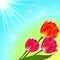 Vector sunny tulip flowers bouquet card template