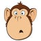 Vector of surprised monkey