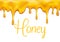 Vector sweet honey dripping for bakery shop