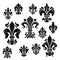 Vector symbol heraldiic fleur-de-lis lily flower