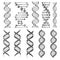 Vector symbols of dna helix or molecular chain