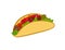 Vector Taco Colorful Illustration isolated.