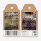 Vector tags design on both sides, cardboard sale labels with barcode. Polygonal design, colorful geometric hexagonal