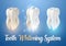 Vector Teeth Cleaning Process. 3D Realistic Vector Teeth Whitening Process