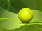 Vector tennis Background