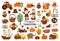 Vector Thanksgiving elements set. Autumn icons collection with funny pilgrims, native American, turkey, animals, harvest,