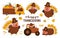 Vector Thanksgiving turkey set. x. Autumn birds icon. Fall holiday animal in pilgrim hat pack isolated on white background.