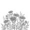 Vector thickets of outline welted Thistle or Carduus plant, spiny leaf, bud and flower bunch in black isolated on white.