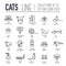 Vector thin line breed cats icons set. Cute outline animal illustrations pet design. Collection different kitten layout