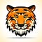 Vector tiger head graphic design