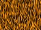 Vector Tiger orange black stripe pattern. Tiger seamless tiling background.