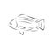 Vector tilapia fish Black. illustration. logo. icon. symbol. on white background