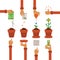 Vector timeline infographic concept of planting process