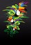 Vector toucan illustration