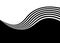 Vector transition from black to white with wavy lines. Modern striped vector background